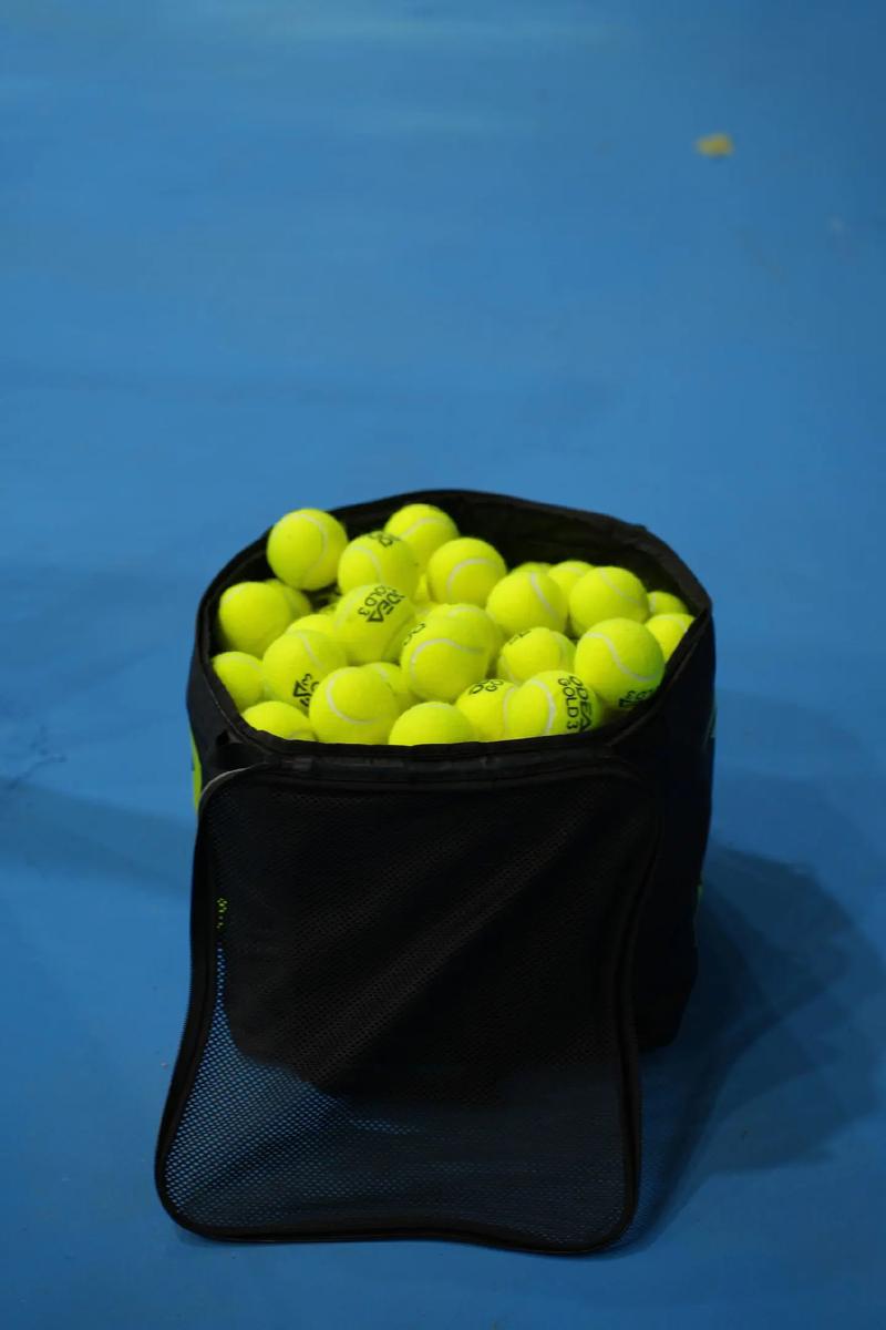 逐步培养竞 逐步培养竞