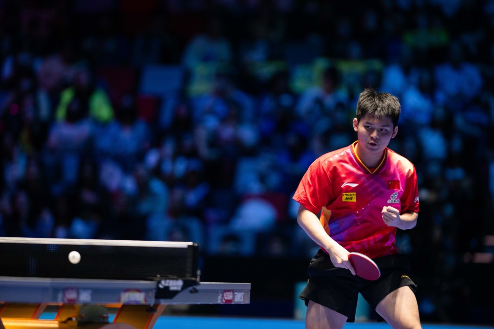 自己实力的 自己实力的