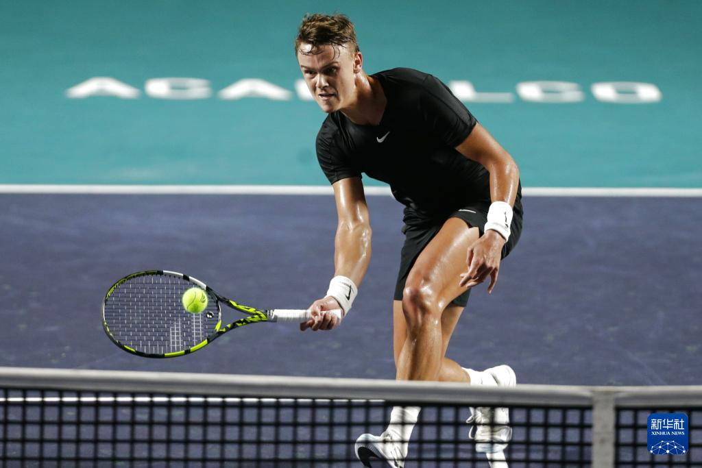 忠诚的象征 忠诚的象征