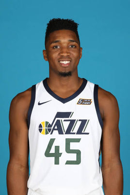 的重要组成 的重要组成