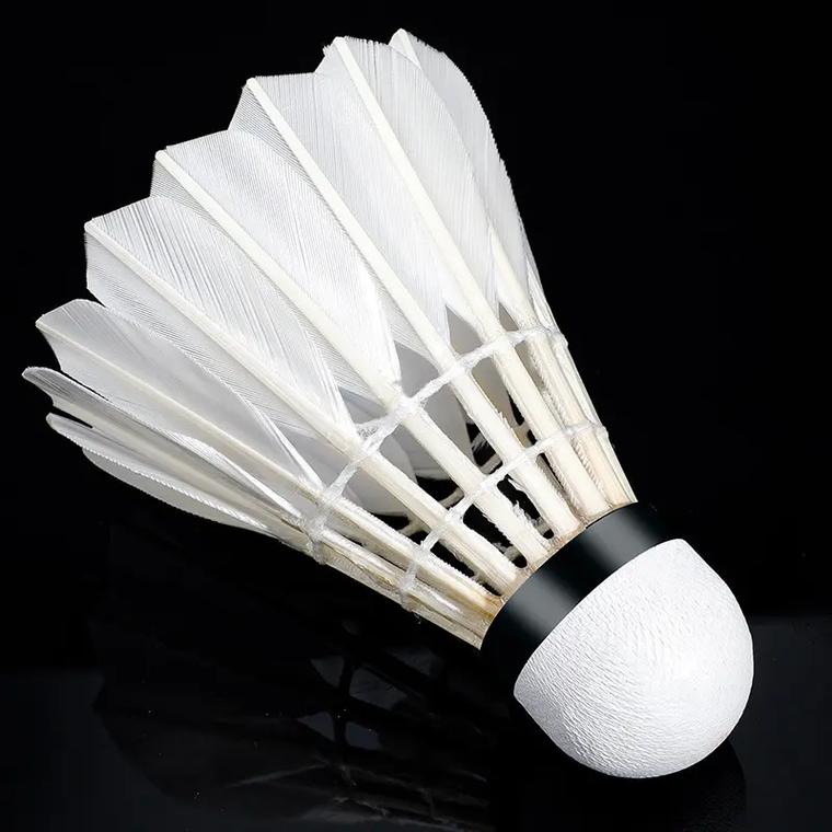 佳的消息 佳的消息