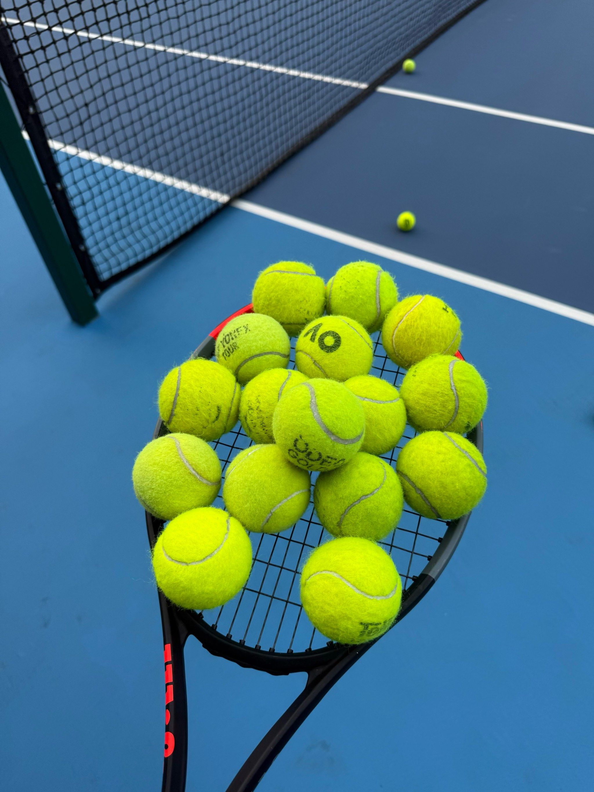 新鲜力量的 新鲜力量的