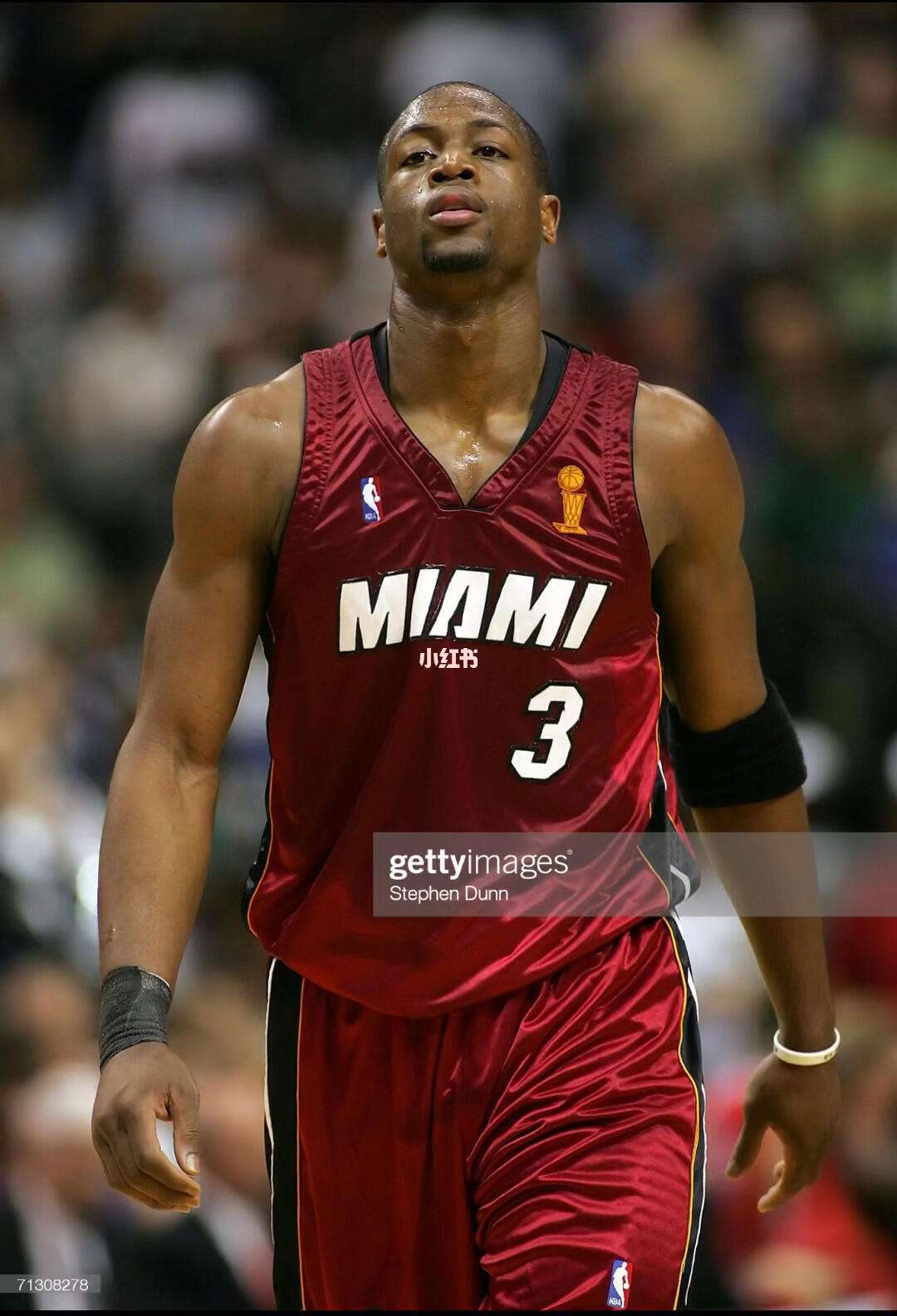 下将指令简 下将指令简